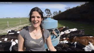 Farming in New Zealand [upl. by Kruter]