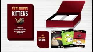 Exploding Kittens  A new card game on Kickstarter [upl. by Arleyne]