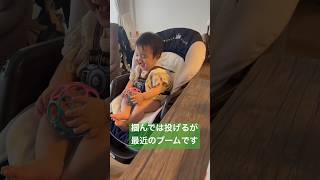 【生後9ヶ月】最近のブームです⚾️赤ちゃん baby 赤ちゃんのいる生活 かわいい 癒し 子育て 育児 生後9ヶ月 遊び 楽しい shorts short [upl. by Ylaek]