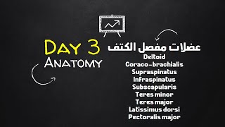 05  Shoulder joint Rotator cuff muscles other muscles bones spots شرح عربي [upl. by Yelsa764]