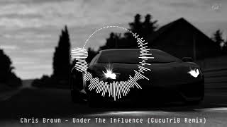 Chris Brown  Under The Influence CucuTriB Remix [upl. by Thgiled588]