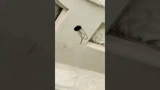 Hall chanoti ceiling desgine finle look👀🥰😍 music instrumental night home youtubemusic [upl. by Ilowell]