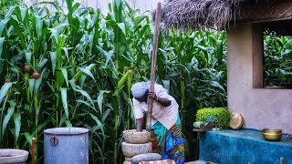 இயற்க்கை வேலிப்பருத்திக்காய் குழம்பு  கோவக்காய் பொறியல்  Natural Vegetables The village paradise [upl. by Oir316]