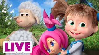 🔴LIVE 💥 TaDaBoom Italia 🐻👱‍♀️ La migliore collezione di canzoni per ragazzi 💫🎬 Masha e Orso [upl. by Tirreg]