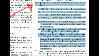 Microeconomia de pindyck capitulo 10 ejercicio 6 [upl. by Yclehc]