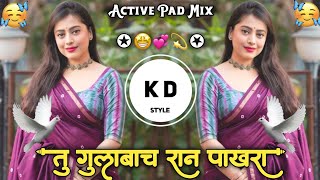 Tu Gulabach Ran Pakhara🤩तु गुलाबाच रान पाखरा💕Active Pad Mix Marathi DJ Song DJ KD Style Kishor💫 [upl. by Karlise695]