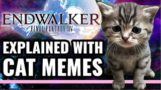 The Story of FFXIV Endwalker Explained With Cat Memes [upl. by Ylnevaeh492]