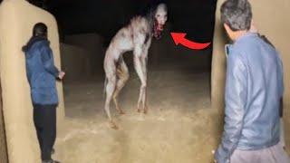 ACTUAL VIDEO NG TIKBALANG NA ASWANG NAKAKATAKOT [upl. by Nameloc]