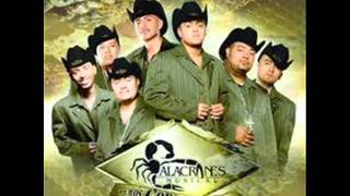 alacranes musical moviditas buenas [upl. by Bohs]