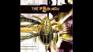 Various – A Tribute To The Prodigy 2002 [upl. by Ecyoj553]