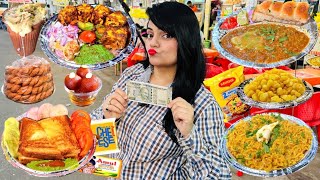 Rs 500 Street Food Challenge  Udaipur Food Challenge [upl. by Vashtia]