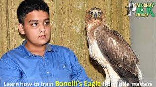 Learn how to train Bonellis Eagle from Little Masters  Eagle Training Tips [upl. by Novaj]