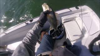 Boat Fishing Galvestons South Jetties Day After My Kayak Trip There On Hooked Up Fishing [upl. by Edgerton81]