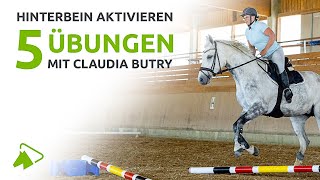 Top 5 Stangenübungen für eine aktive Hinterhand  wehorse [upl. by Lennahs]