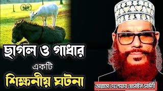 ছাগল ও গাধার একটি শিক্ষনীয় ঘটনাআল্লামা দেলোয়ার হোসাইন সাঈদীDelwar Hossain sayeedi waz [upl. by Atekin]