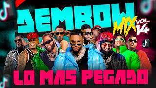 DEMBOW MIX VOL 14 🎵 LOS DEMBOW QUE MAS SUENAN EN TIKTOK Y LA CALLE 2O23 🎤 MEZCLADO POR DJ ADONI [upl. by Augy]