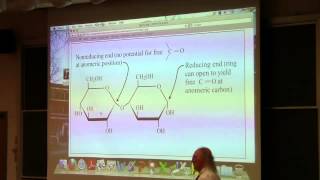 24 Biochemistry Lecture Carbohydrate Structure from Kevin Aherns BB 350 [upl. by Westhead233]