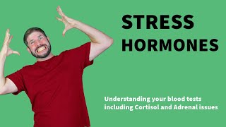 Stress hormone blood tests explained Cortisol Cushings and Adrenal fatigue [upl. by Hploda842]