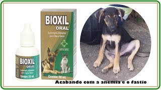 ACABANDO A ANEMIA COM BIOXIL e SULFATO FERROSO [upl. by Dnomrej]