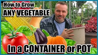 My 15 Gardening Hacks you must know DIY Home Garden ideas part1 [upl. by Lerrad950]