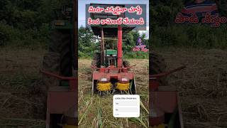 Super napier harvesting machine cow cattlefeedmachineatbestpriceinindia grass [upl. by Eusadnilem]