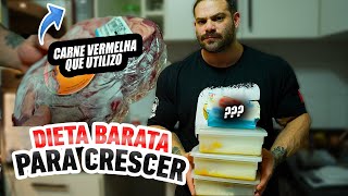 INGREDIENTES MAIS BARATOS PARA FAZER DIETA  ALFY POLLY [upl. by Rodge]