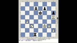 Esipenko Andrey vs Sukhareva Evgenia  Dvorkovich Memorial Chess Open 8th 2013 Taganrog Russia [upl. by Adyela]