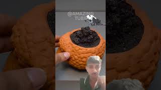 Dragon fruit time lapse  time lapse vidieo  dragon fruit  timeslapse shortsviral farming [upl. by Acemat]