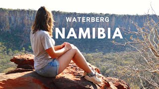 Das WaterbergPlateau  grüne Oase und wilde Affen  Camper Roadtrip Namibia 5 [upl. by Farwell903]