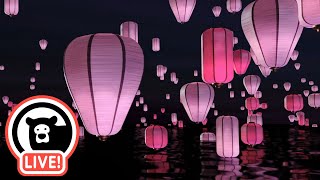 Hey Bear Sensory  Relaxing Lanterns Stream [upl. by Rol]