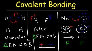 Polar Covalent Bonds and Nonpolar Covalent bonds Ionic Bonding  Types of Chemical Bonds [upl. by Atiuqiram]