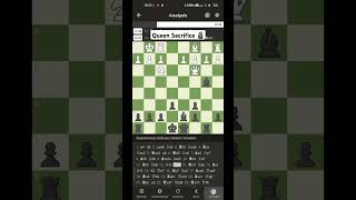 Queen Sacrifice 🗿 chess gothamchess [upl. by Henrietta]