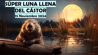 LUNA LLENA EN TAURO  15 DE NOVIEMBRE 2024 ♉ Horóscopo 12 SIGNOS DEL ZODIACO [upl. by Cleland682]