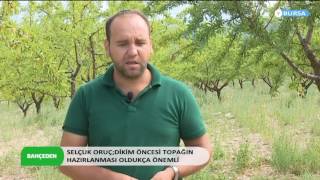 BADEM YETİŞTİRMENİN PÜF NOKTALARI [upl. by Edak]