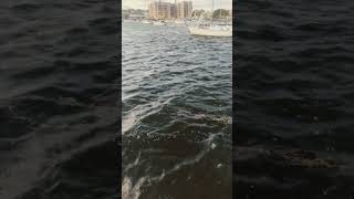 Choppy waves in Manhattan Beach brooklyn ny [upl. by Imena]