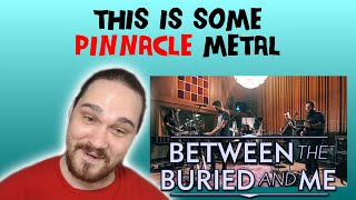 ComposerMusician Reacts to Between the Buried and Me  Extremophile Elite LIVE REACTION [upl. by Nitsuga]