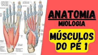 🔴👉 Mús do PÉ 1  Miologia 38 do membro inferior  Anatomia [upl. by Florin]