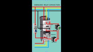 OVERLOAD RELAY CONNECTION DIAGRAM WIRING ANIMATION [upl. by Rickey972]