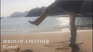 BIRDS OF A FEATHERBillie Eilish cover [upl. by Ardnua482]