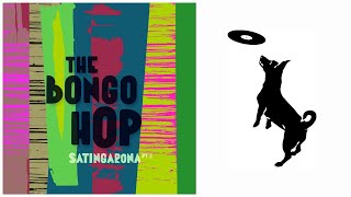 The Bongo Hop  Agua fría  feat Laurene P Magnani [upl. by Yevreh]