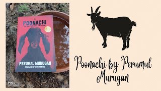 PoonachiOr the Story of a Black Goat Perumal Murugan Tamil Writer English Literature [upl. by Olemrac444]