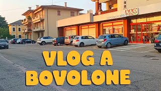 330 Passeggiata verso A amp O di Bovolone  Vloggo guardando le piccole cose🥰 [upl. by Card]