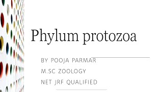 Protozoa  Genera Characters Of Protozoa  Animal Kingdom  Biology [upl. by Urbanus]