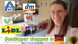 Lidl booschappen shoplog  DM shoplog II Goedkoper shoppen in DUITSLAND [upl. by Enirbas]