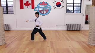 POOMSAE 6  Instructional [upl. by Sailesh]