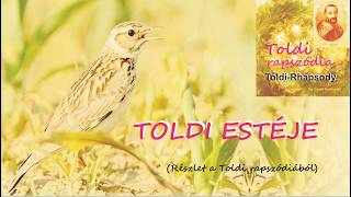 TOLDI RAPSZÓDIA RÉSZLET III ‒ TOLDI ESTÉJE [upl. by Ydnic49]