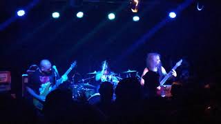 KATAPLEXIA  Brutal Addiction  Live in São Paulo 2019 [upl. by Eet680]