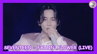 SEVENTEEN 세븐틴  Fallin Flower 舞い落ちる花びら Live SUB ESPAÑOL [upl. by Caril]