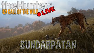 Sundarpatan First Adventure w wayofthepixel emberzpainter  theHunter Call of the Wild cotw [upl. by Suirtemed]