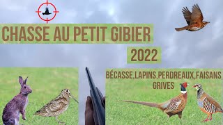 Chasse au petit gibier au chien darrêt 2022 Bécasse perdreaux lapins faisans grives [upl. by Aynek]